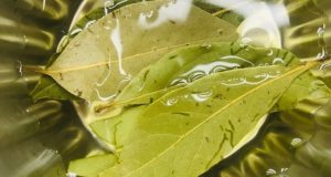 Dites adieu aux boutons ! L’élixir naturel magique révélé par les esthéticiennes. Dites adieu aux boutons ! L'élixir naturel magique révélé par les esthéticiennes.