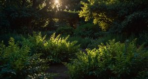 Attention aux lauriers dans votre jardin : découvrez pourquoi Attention aux lauriers dans votre jardin : découvrez pourquoi