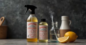 Cuisine : 17 techniques infaillibles pour éliminer les moucherons Cuisine : 17 techniques infaillibles pour éliminer les moucherons