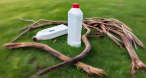 Désherber à l’eau de javel : une méthode à éviter ? Désherber à l’eau de javel : une méthode à éviter ?
