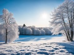 Descente d’air polaire en France : une vague de froid en vue ? Descente d’air polaire en France : une vague de froid en vue ?