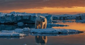 Les raisons de la montée du niveau de la mer expliquées Les raisons de la montée du niveau de la mer expliquées