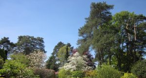 Grande-Synthe : la ville la plus écologique de France Grande-Synthe : la ville la plus écologique de France