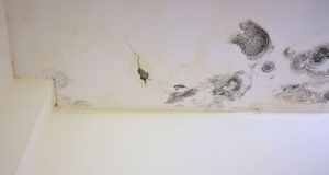 Astuce : Éliminer la moisissure au mur et au plafond avec un spray maison à 30 centimes Astuce : Éliminer la moisissure au mur et au plafond avec un spray maison à 30 centimes