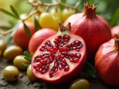 Bienfaits beauté des plantes et fruits méditerranéens : anti-âge et hydratation Bienfaits beauté des plantes et fruits méditerranéens : anti-âge et hydratation
