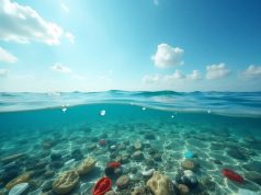 La planète bleue : un océan de plastique à l’horizon La planète bleue : un océan de plastique à l'horizon