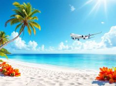 Durée de vol vers la Martinique : ce qu’il faut savoir avant de partir Durée de vol vers la Martinique : ce qu'il faut savoir avant de partir