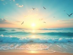 Oceans : découvrez comment protéger le cœur de notre planète Oceans : découvrez comment protéger le cœur de notre planète