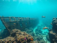 Épave du Maldive Victory : Un trésor sous-marin aux Maldives Épave du Maldive Victory : Un trésor sous-marin aux Maldives